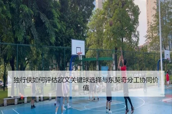 du-xing-xia-ru-he-ping-gu-ou-wen-guan-jian-qiu-xuan-ze-yu-dong-qi-qi-fen-gong-xie-tong-jia-zhi-2-608.jpg