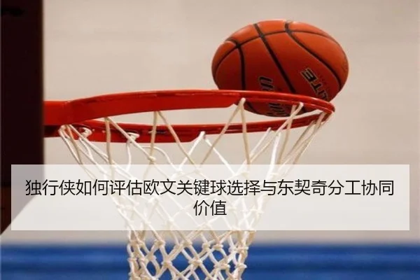du-xing-xia-ru-he-ping-gu-ou-wen-guan-jian-qiu-xuan-ze-yu-dong-qi-qi-fen-gong-xie-tong-jia-zhi-3-221.jpg